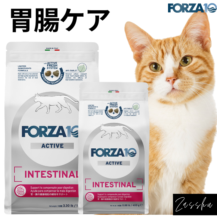 猫 胃腸ケア 療法食 フォルツァ 猫用 下痢止め おなか シニア 療養食 ウェット ドライ キャットフード Forza10