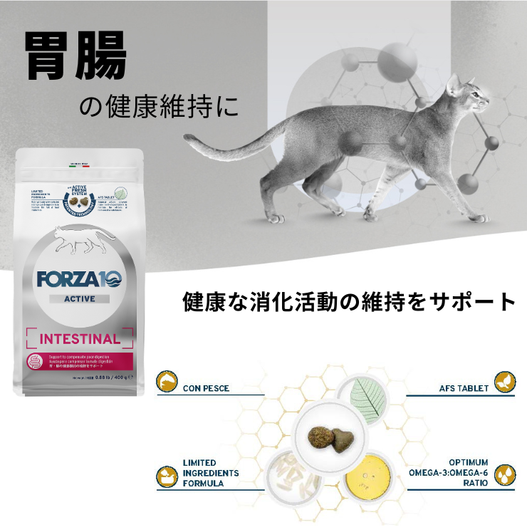 猫 胃腸ケア 療法食 フォルツァ 猫用 下痢止め おなか シニア 療養食 ウェット ドライ キャットフード Forza10