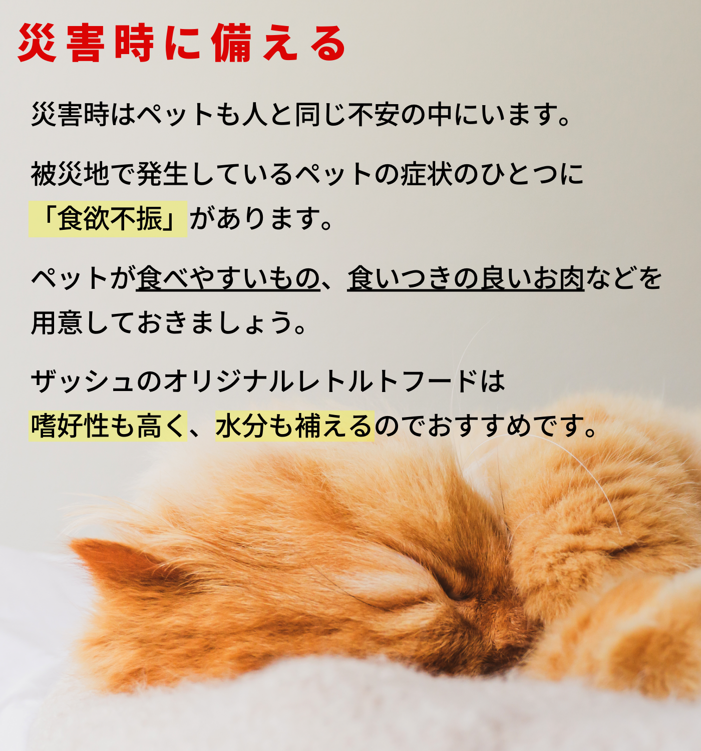 真鯛 レトルト 無添加 無加水 ≪非常食、アウトドアにも≫