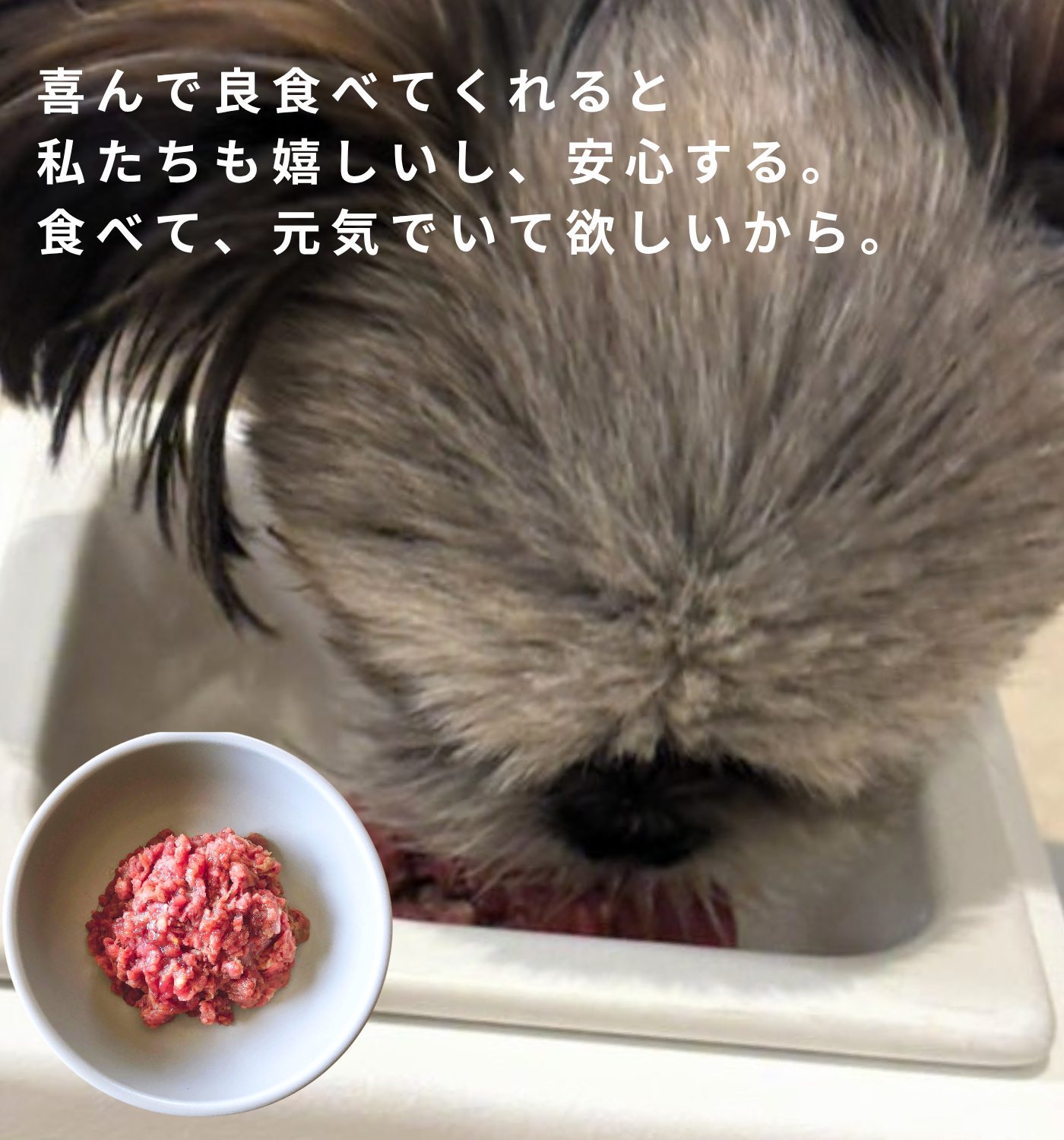 【新商品】Zasshu® 馬肉 ミンチトレイ 小分けトレー 馬肉ミンチ 犬用 犬 冷凍 生肉 トッピング用ドッグフード 手作りごはん 食用