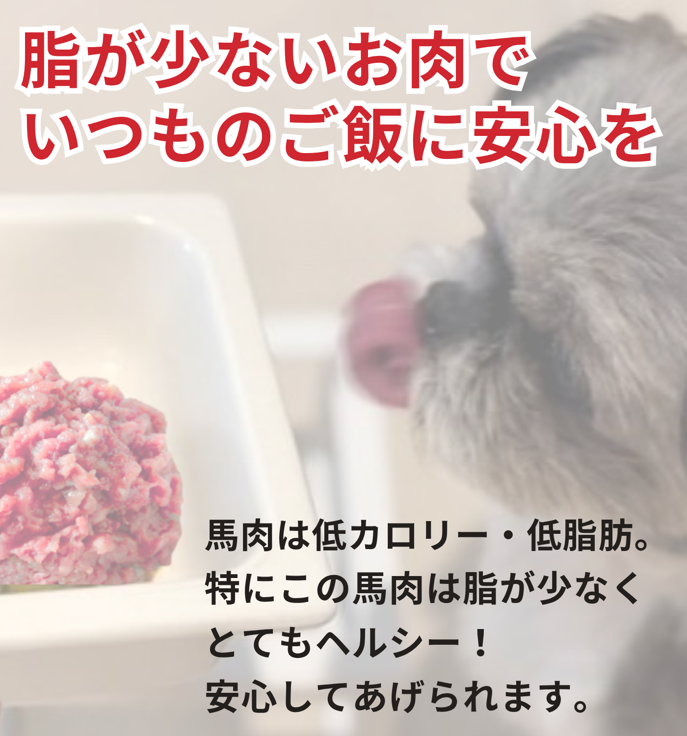 【新商品】Zasshu® 馬肉 ミンチトレイ 小分けトレー 馬肉ミンチ 犬用 犬 冷凍 生肉 トッピング用ドッグフード 手作りごはん 食用