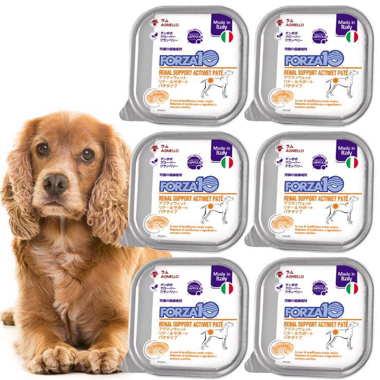 Forza dog kidney care therapeutic food dry food forza10 various