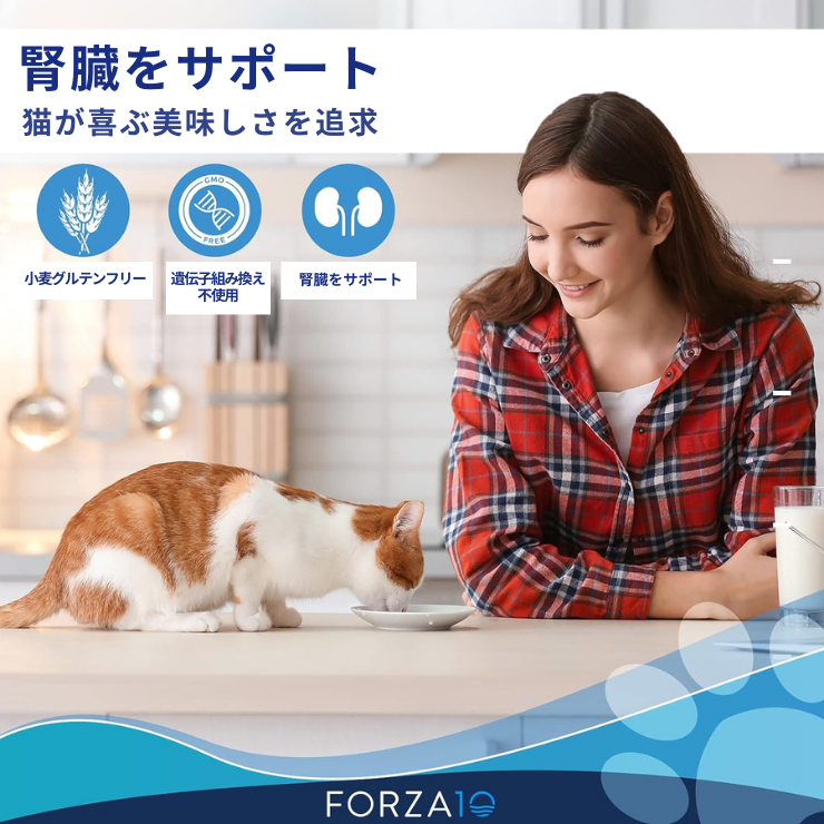猫 腎臓ケア 療法食 フォルツァ 猫用 腎臓病 慢性腎不全 シニア 食事療法食 腎臓食 キャットフード Forza10