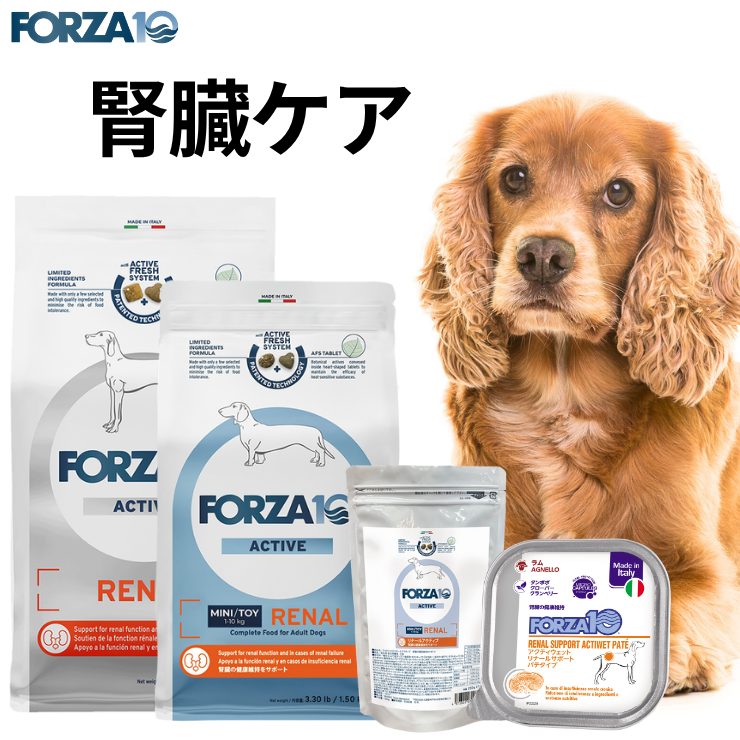 Forza10 犬用 腎臓ケア 犬 腎臓病 慢性腎不全 腎不全 総合栄養食 Forza10 犬用 腎臓ケア 犬 腎臓病 慢性腎不全 腎不全 総合栄養食