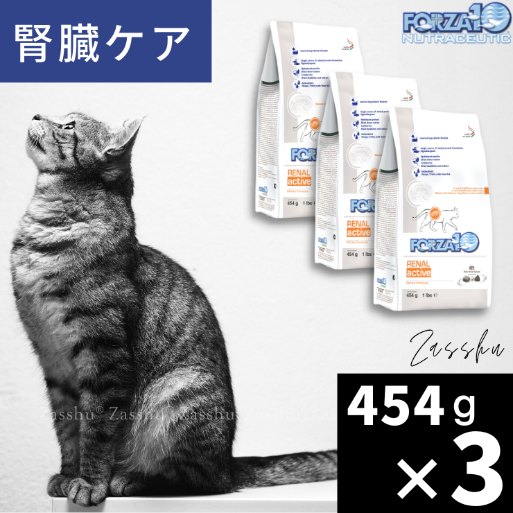 フォルツァ 猫 腎臓ケア 療法食 ドライフード forza10 各種