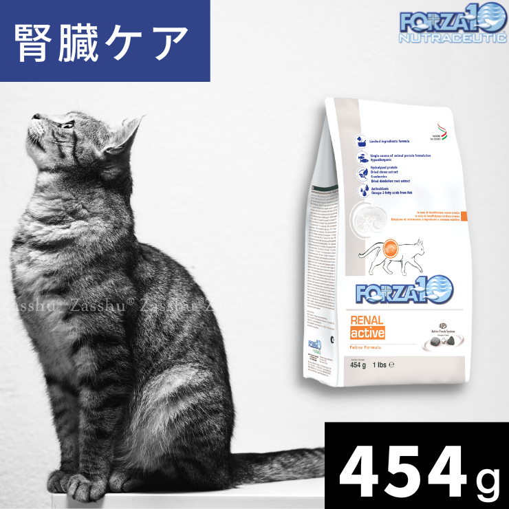 FORZA cat kidney care diet dry FORZA10 Zasshu Zasshu