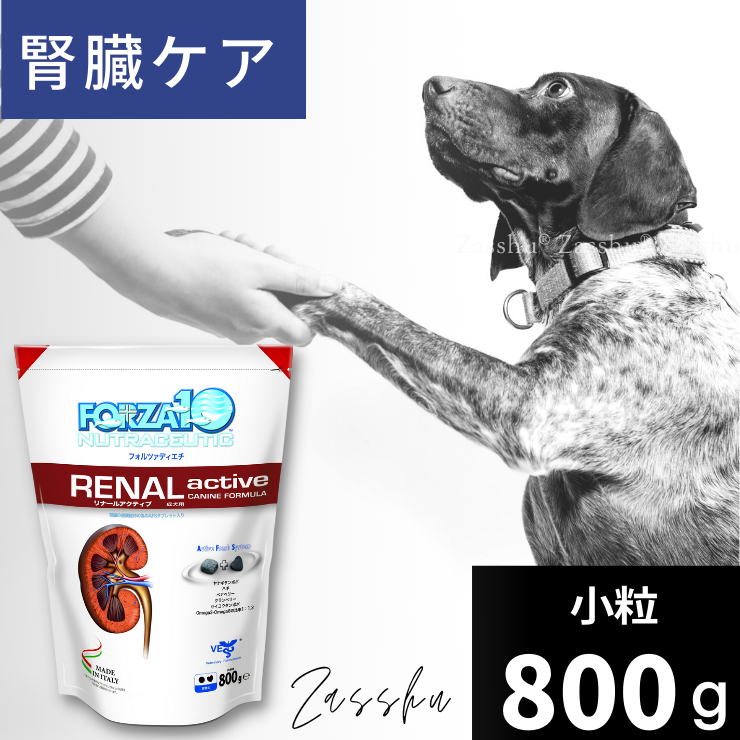 Forza dog kidney care therapeutic food dry food forza10 various
