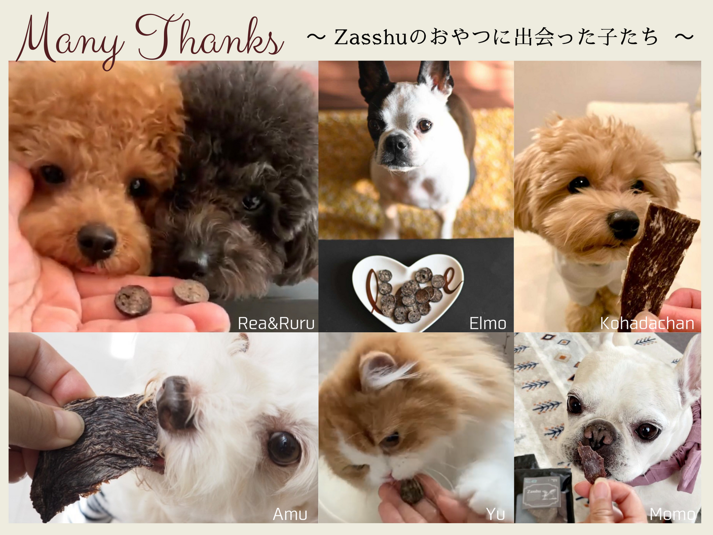 No.42 鹿肉 うす切り ジャーキー 国産 無添加 犬 猫 おやつ