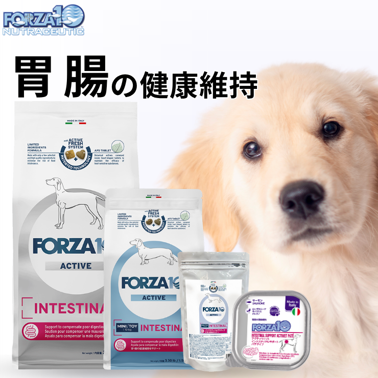 犬 胃腸ケア 療法食 フォルツァ 犬用 下痢止め おなか シニア 療養食