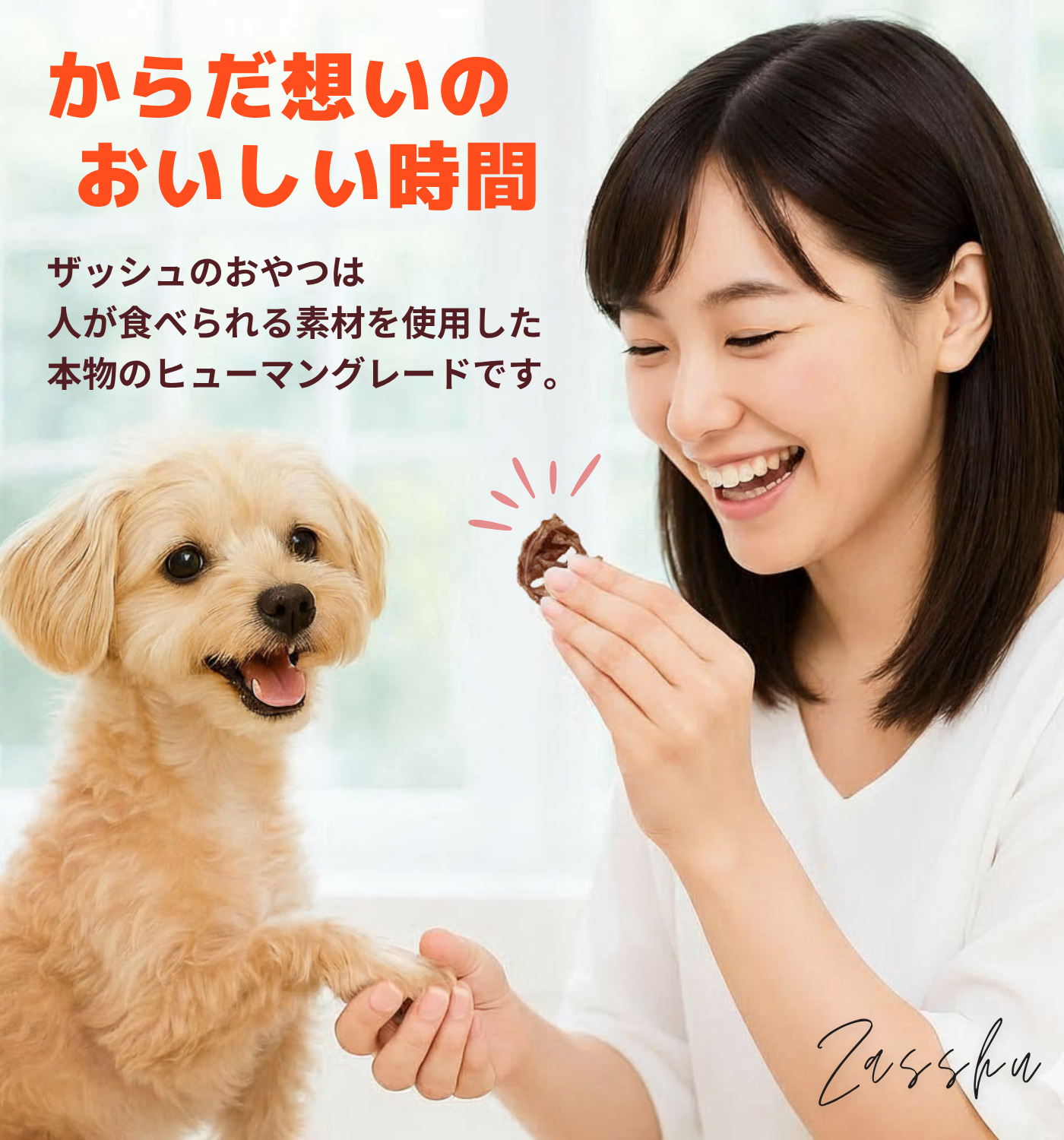 [New product] No.45 Venison freeze-dried jerky Domestic additive-free dog cat snack