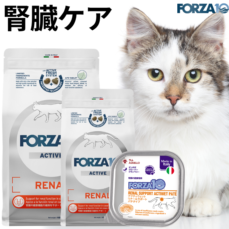 Forza cat kidney care therapeutic food dry food forza10 various