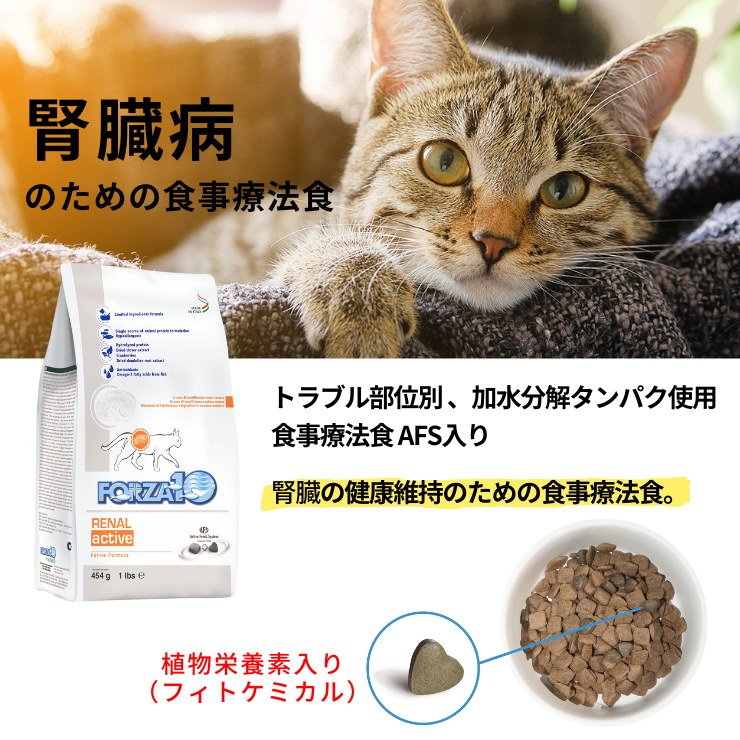 フォルツァ 腎臓ケア 猫 療法食 【 ドライフード 】猫用 腎臓病 慢性腎不全 シニア 食事療法食 腎臓食 低リン 低タンパク 高齢猫 Forza10