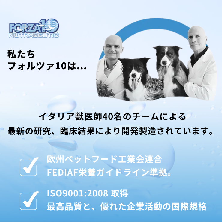 フォルツァ 腎臓ケア 猫 療法食 【 ドライフード 】猫用 腎臓病 慢性腎不全 シニア 食事療法食 腎臓食 低リン 低タンパク 高齢猫 Forza10