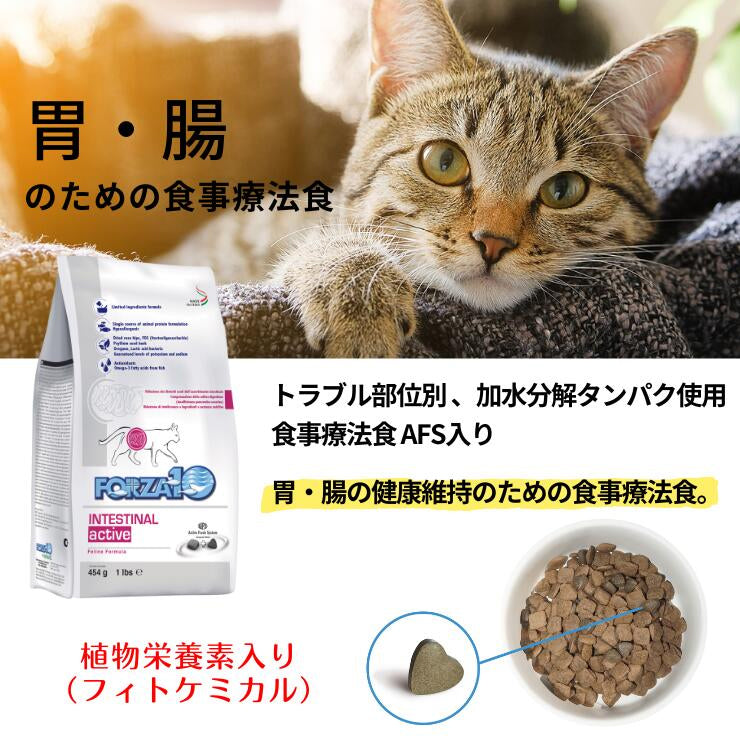 フォルツァ 胃腸ケア 猫用療法食 ドライ フード インテスティナル キャットフード泌尿器サポート 猫用 Forza10