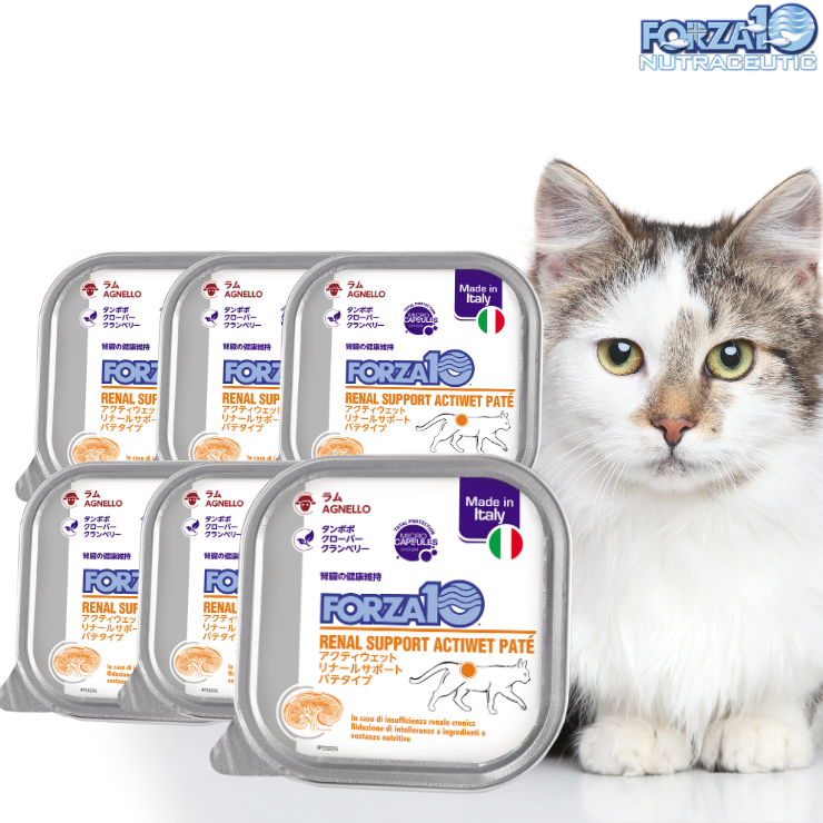 フォルツァ 腎臓ケア 猫 療法食 【 ウェットフード 100g×6 】腎臓病 慢性腎不全 缶詰 シニア 食事療法食 腎臓食 低リン 低タンパク 高齢猫 Forza10