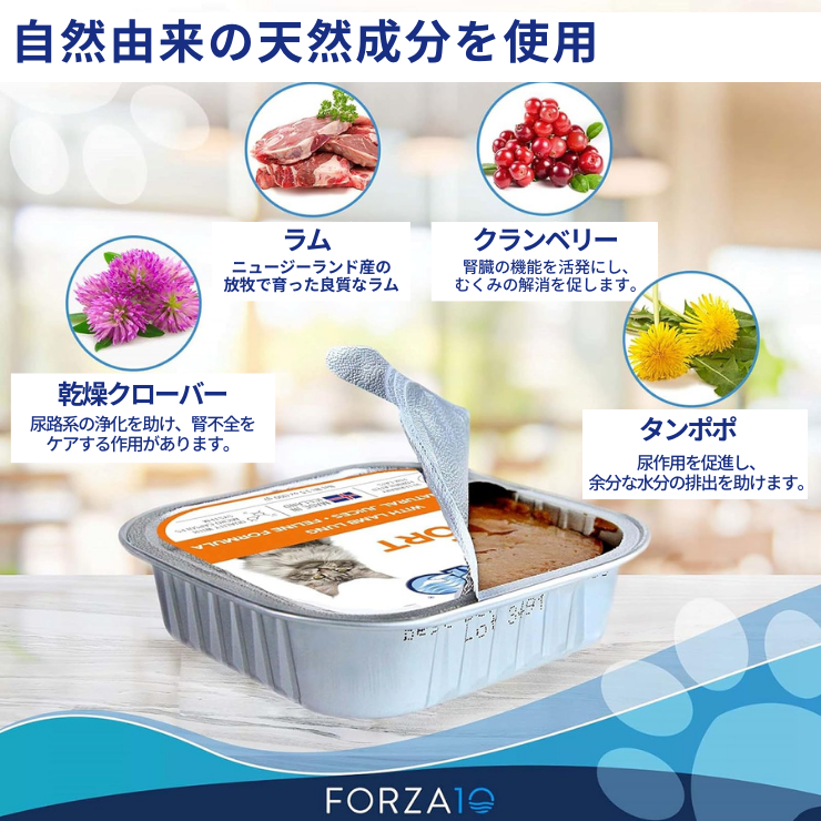 フォルツァ 腎臓ケア 猫 療法食 【 ウェットフード 100g×6 】腎臓病 慢性腎不全 缶詰 シニア 食事療法食 腎臓食 低リン 低タンパク 高齢猫 Forza10