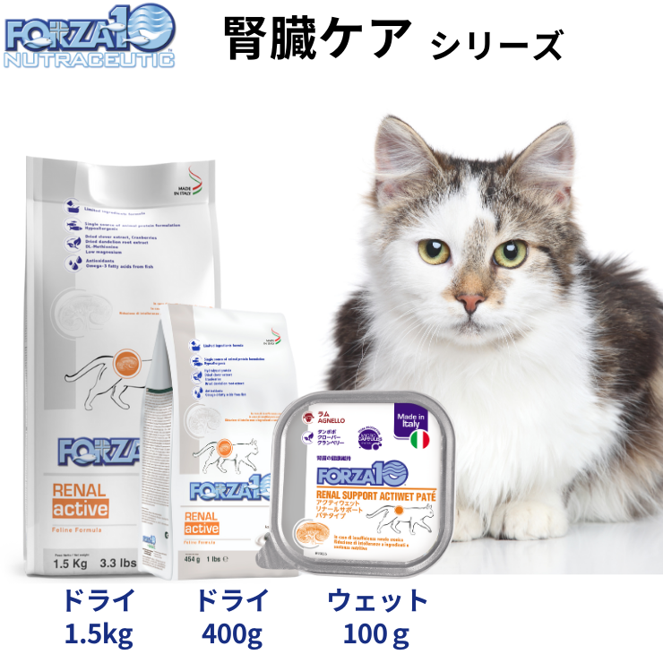 フォルツァ 腎臓ケア 猫 療法食 【 ウェットフード 100g×6 】腎臓病 慢性腎不全 缶詰 シニア 食事療法食 腎臓食 低リン 低タンパク 高齢猫 Forza10