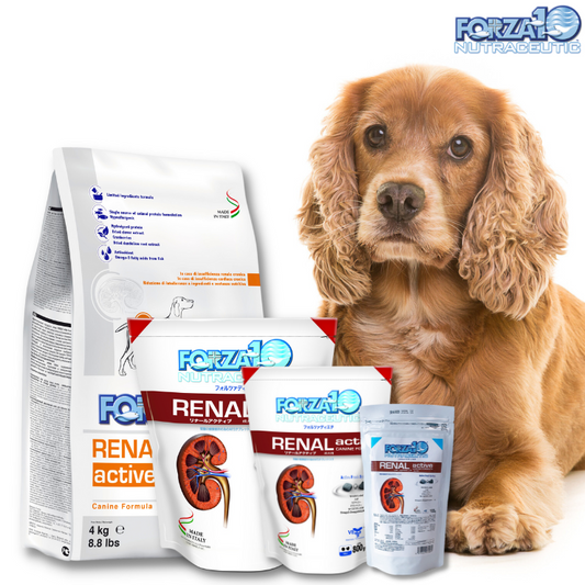 Forza dog kidney care therapeutic food dry food forza10 various