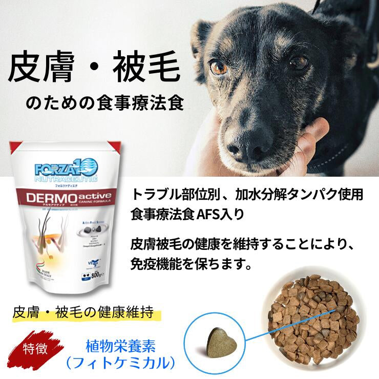 フォルツァ  皮膚 アレルギー 犬用療法食 ドライフード 皮膚炎 かゆみ 食物アレルギー  Forza10