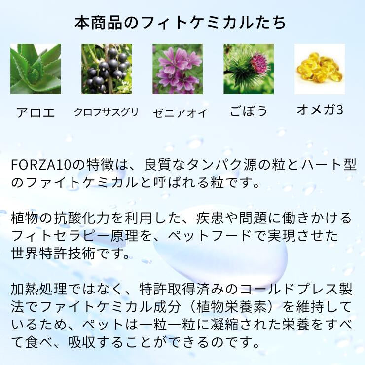 フォルツァ  皮膚 アレルギー 犬用療法食 ドライフード 皮膚炎 かゆみ 食物アレルギー  Forza10