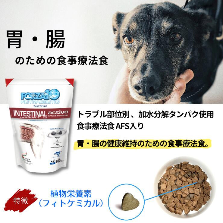 フォルツァ 胃腸ケア  犬用療法食 ドライフード  缶詰  犬用 腸内環境 下痢止め おなか Forza10