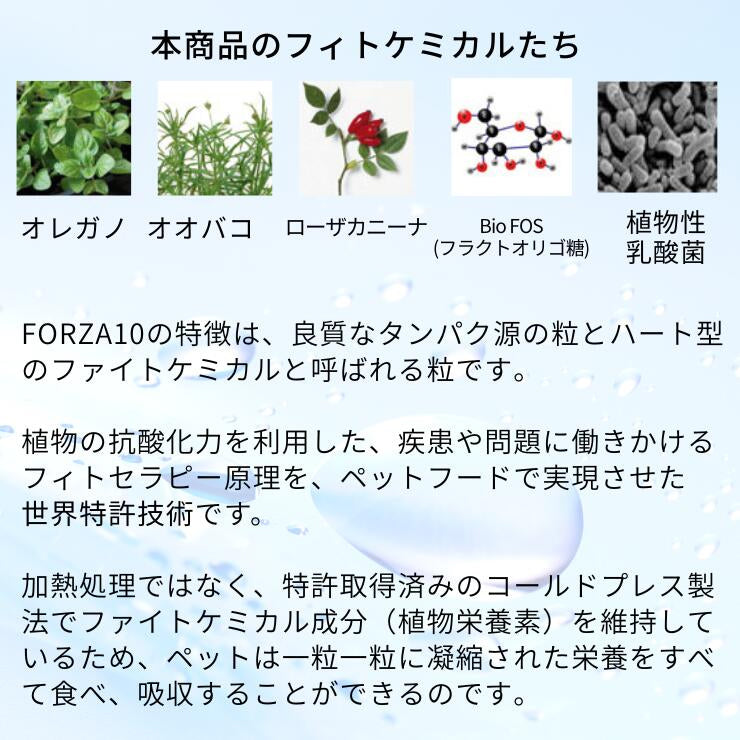 フォルツァ 胃腸ケア  犬用療法食 ドライフード  缶詰  犬用 腸内環境 下痢止め おなか Forza10