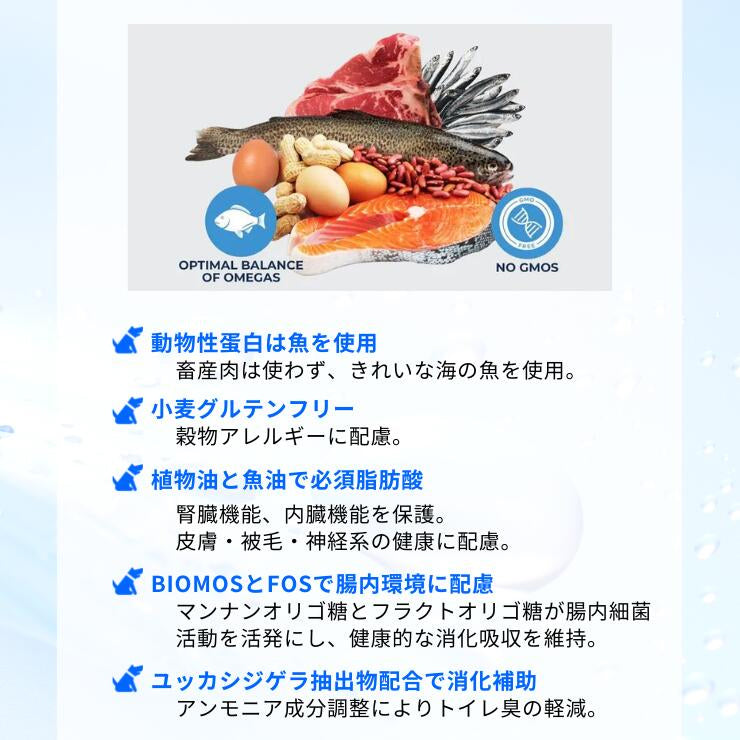 フォルツァ 胃腸ケア  犬用療法食 ドライフード  缶詰  犬用 腸内環境 下痢止め おなか Forza10