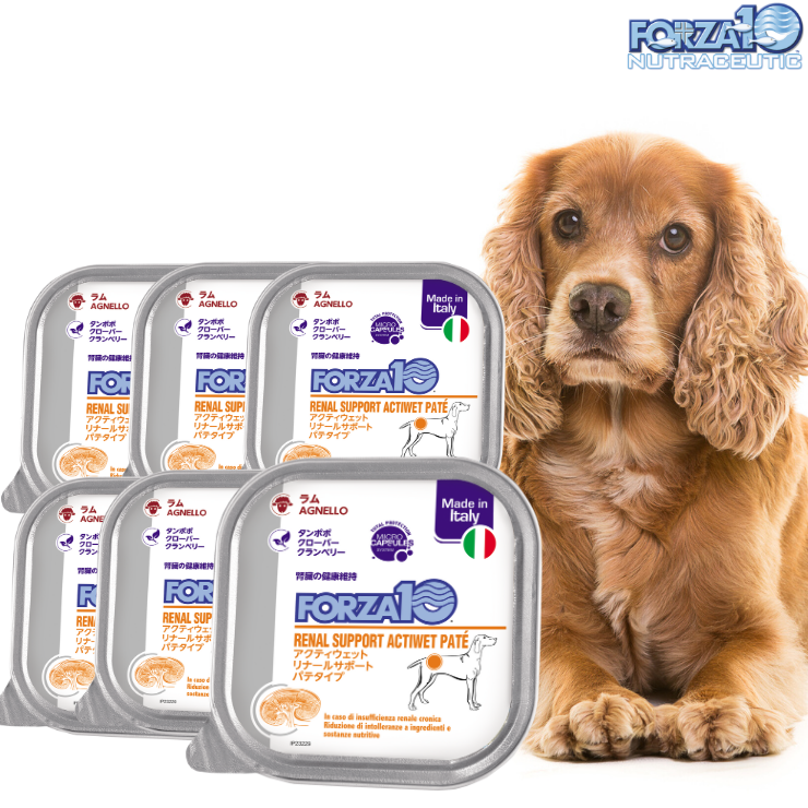 Forza cat kidney care therapeutic food dry food forza10 various