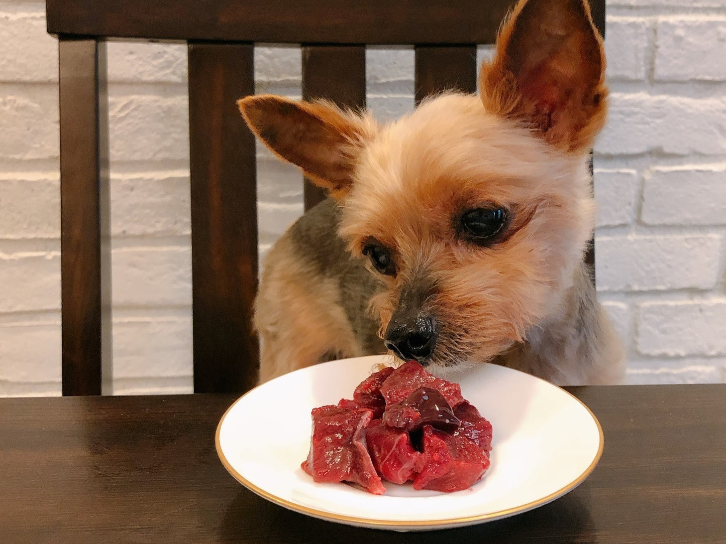 Zasshu® [Square Cut Tray] Venison Ezo Deer Meat Ezo Venison Ezoshika Meat [Hokkaido Highest Quality] Dog Cat Pet Food Block Chopped