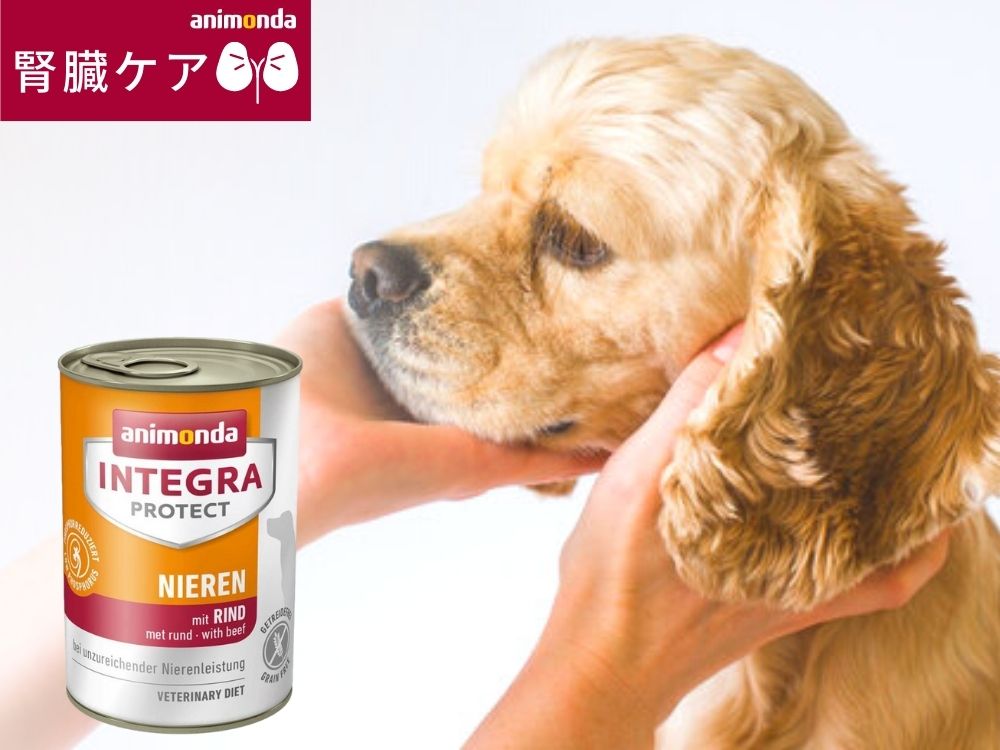 Animonda Dog Diet Integra Protect Kidney Care (Low Phosphorus) Gluten Free Cattle Wet Food 400g Beef (86404) 