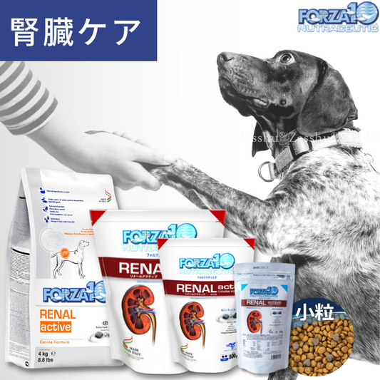 Forza dog kidney care therapeutic food dry food forza10 various