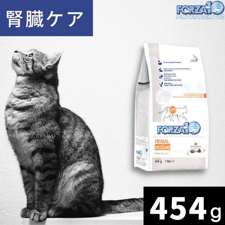 Forza cat kidney care therapeutic food dry food forza10 various