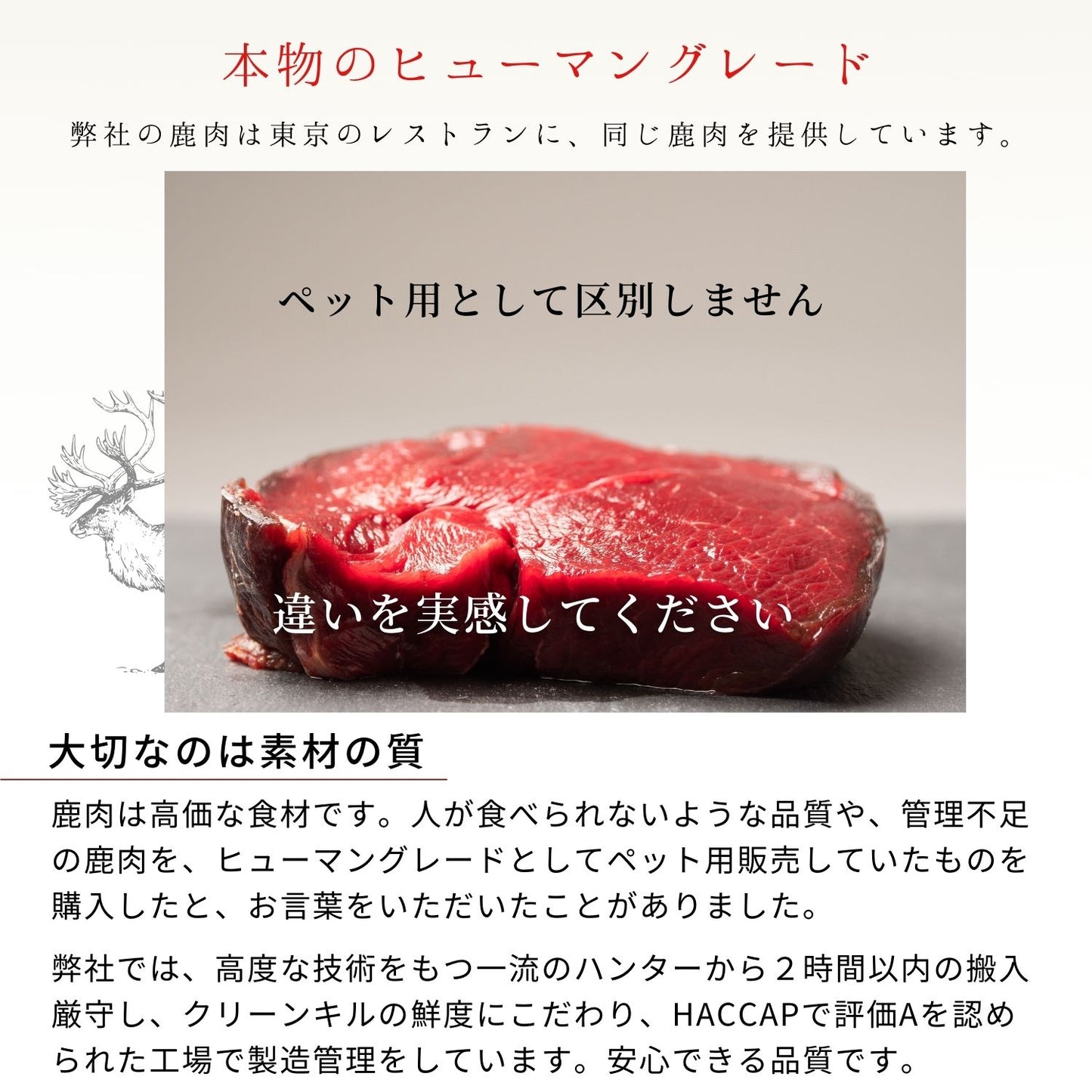 No.45 鹿肉 フリーズドライ スライス 国産 無添加 犬 猫 おやつ