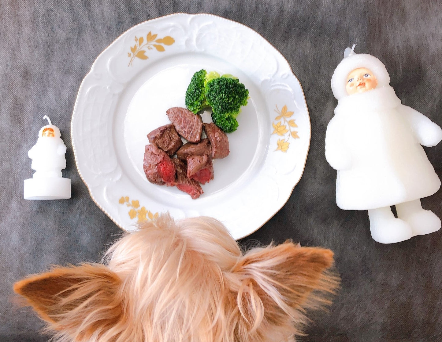 Zasshu® [Square Cut Tray] Venison Ezo Deer Meat Ezo Venison Ezoshika Meat [Hokkaido Highest Quality] Dog Cat Pet Food Block Chopped