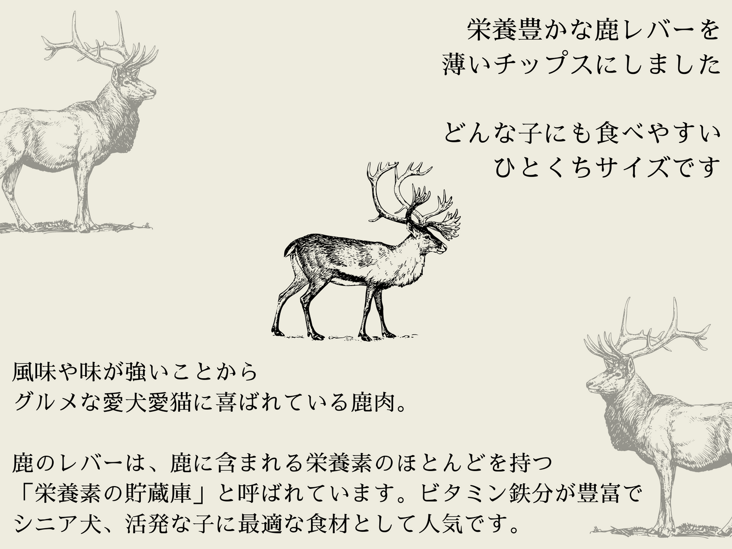鹿のレバーはビタミン鉄分が豊富でシニアの犬や猫におすすめの食材